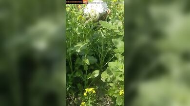 Old Sardar ji fucking farm labor hard in xxx mms