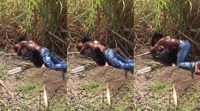 Desi girl caught fucking in sugarcane farm