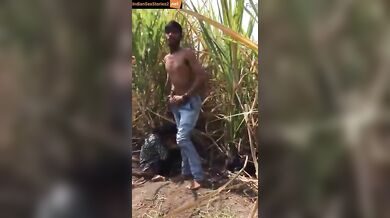 Desi girl caught fucking in sugarcane farm
