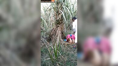 Muslim uncle fucked young labor girl in farm