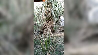 Muslim uncle fucked young labor girl in farm