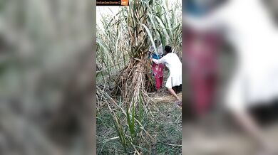 Muslim uncle fucked young labor girl in farm