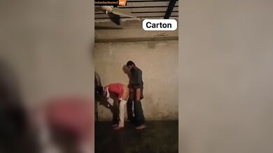 Pakistani guy doggy fucking young sali