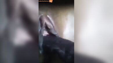 Bangla village girl taking big brinjal in pussy