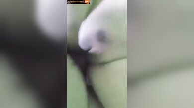 Young and slim Pakistani girl pussy fucking at home