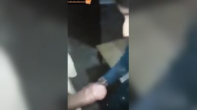 Pakistani bhabhi's chudai in her secret affair video