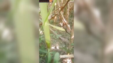 Bihari girl corn filed chudai with full gaali