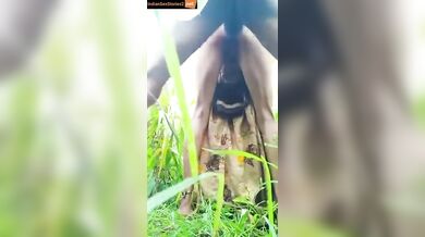 Rajasthani bhabhi and sarpanch fucking in farm xxx mms