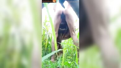 Rajasthani bhabhi and sarpanch fucking in farm xxx mms