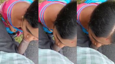 Tamil bhabhi sucked cock on road