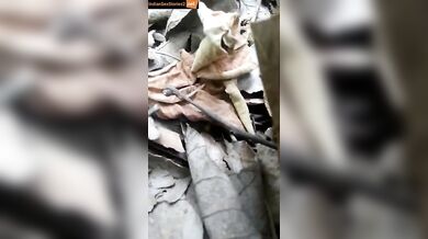 Unmarried girl outdoor jungle fuck mms