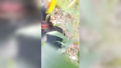 Young desi college girl outdoor fucking viral