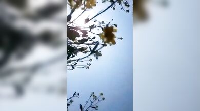 Village aunty lover boy farm sex scandal video